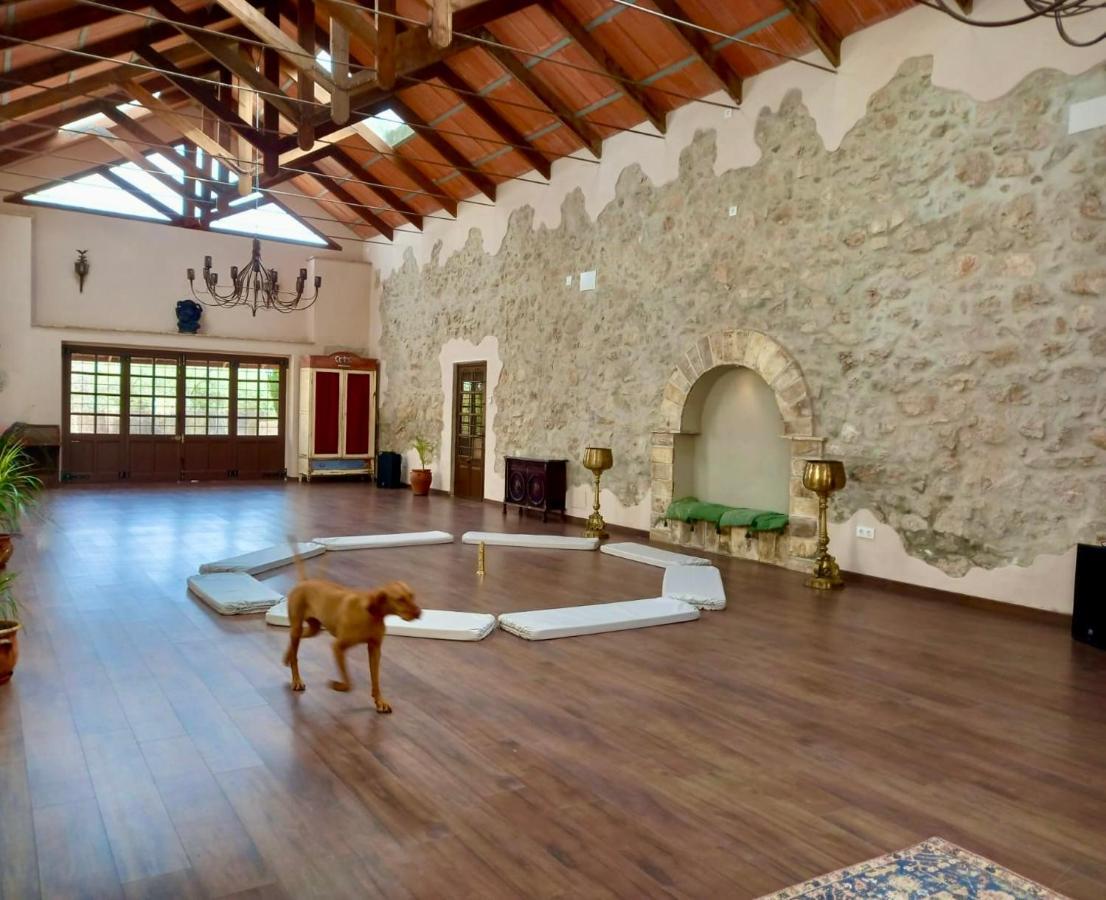 Room In Villa - Beautiful Accommodation At The Heart Of Andalusia Puente Genil Eksteriør billede