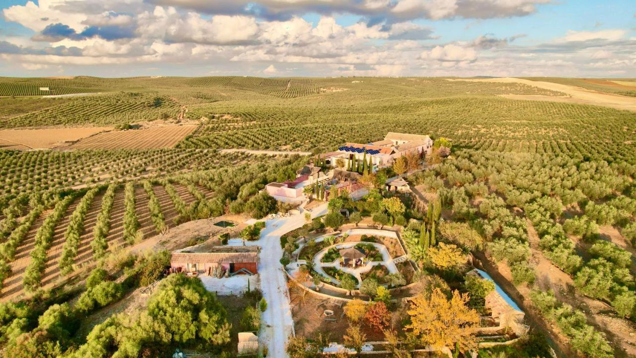 Room In Villa - Beautiful Accommodation At The Heart Of Andalusia Puente Genil Eksteriør billede