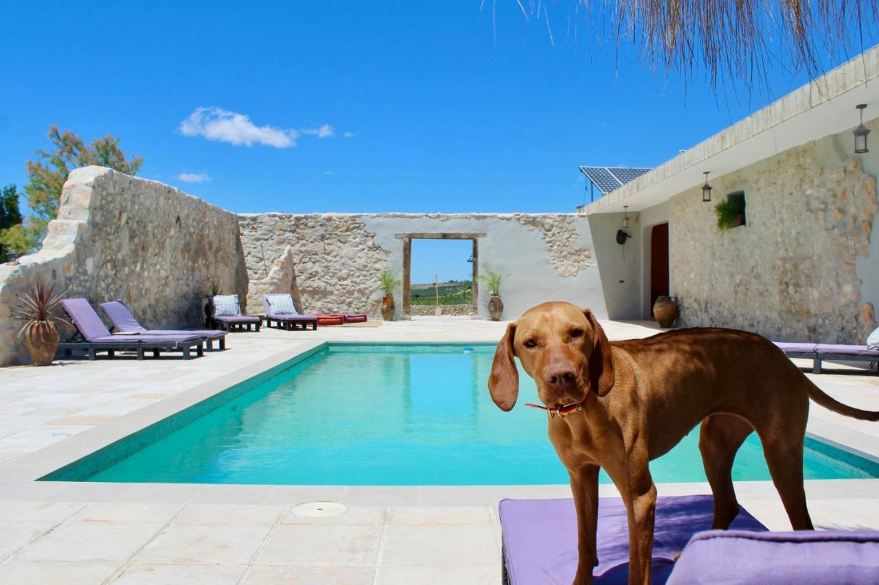 Room In Villa - Beautiful Accommodation At The Heart Of Andalusia Puente Genil Eksteriør billede