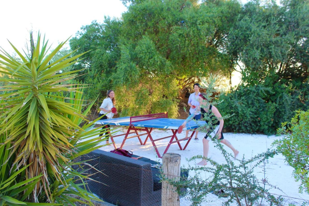 Room In Villa - Beautiful Accommodation At The Heart Of Andalusia Puente Genil Eksteriør billede